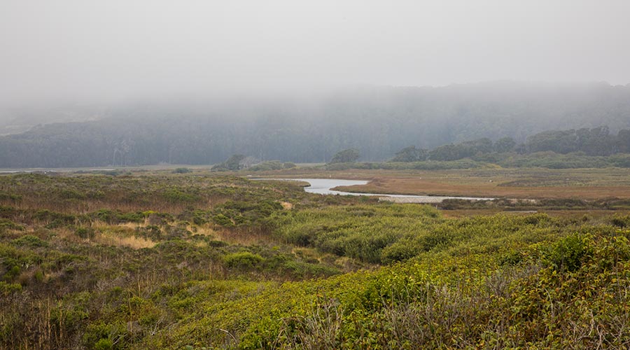 Pescadero Marsh Natural Preserve