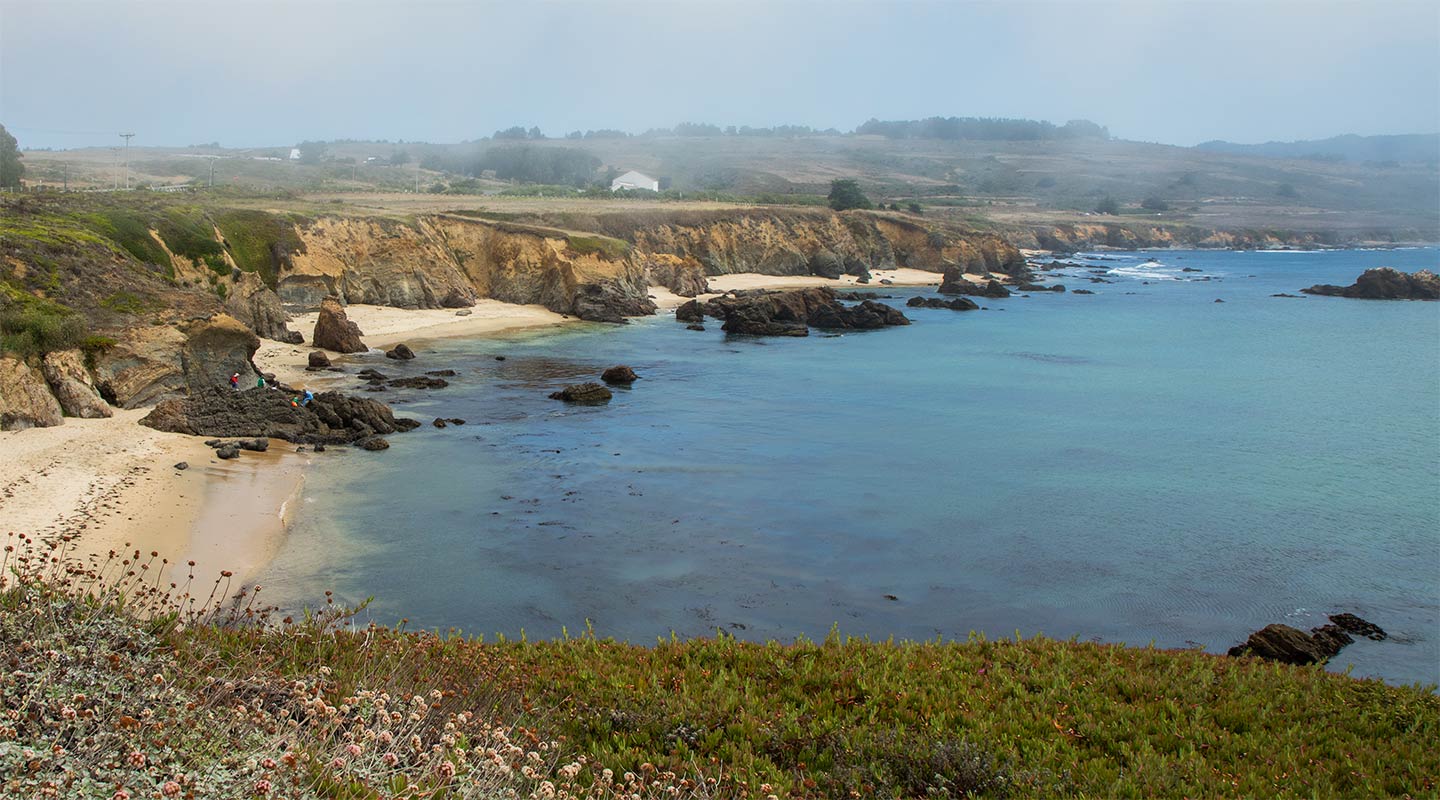 Pigeon Point Coast, Pescadero, California