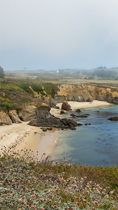 Pigeon Point Coast, Pescadero, California
