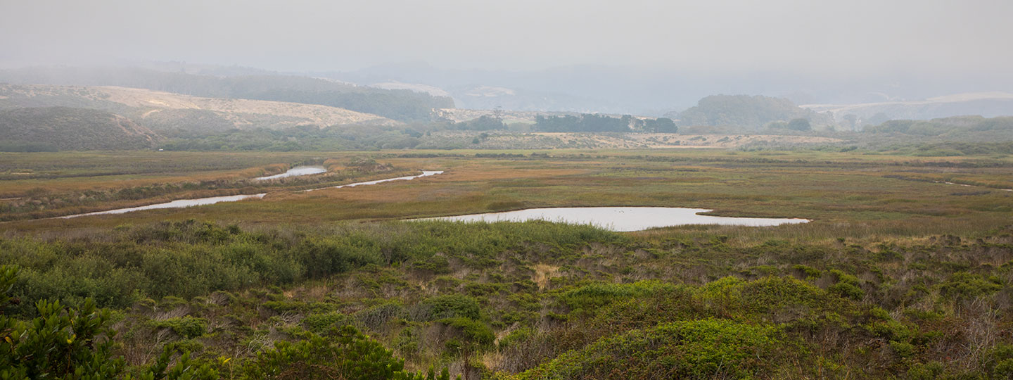 Pescadero Marsh Natural Preserve And Coastal Fog, Looking towards The Town Of Pescadero