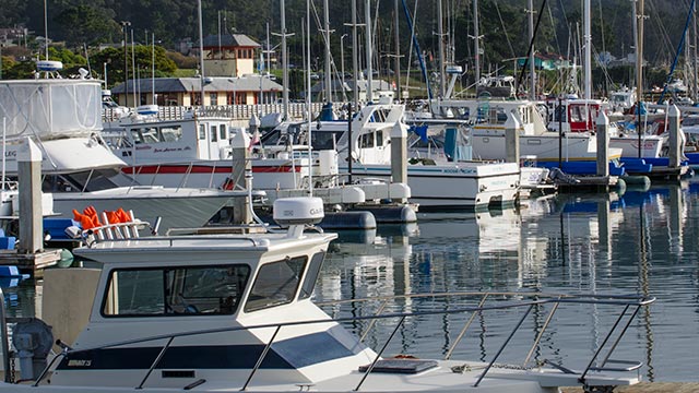 Pillar Point Harbor Princeton-By-The-Sea, California