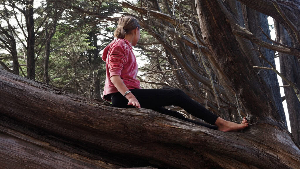 Playing On A Cypress Tree - Fitzgerald Marine Reserve Playing On A Cypress Tree - Fitzgerald Marine Reserve