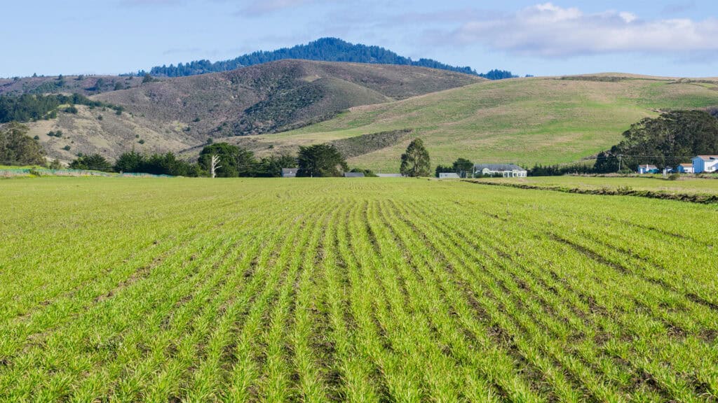 Half Moon Bay Farmlands